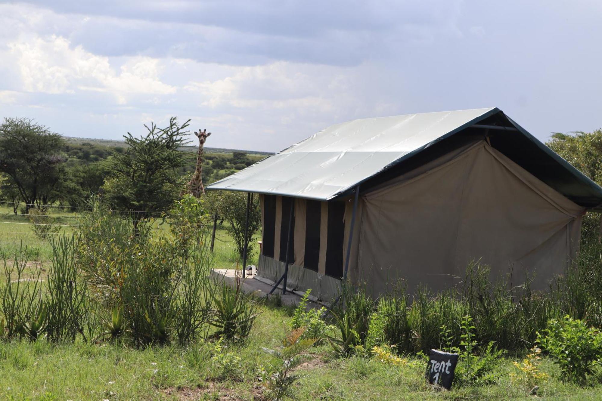 Kambu Mara Camp 호텔 Sekenani 외부 사진